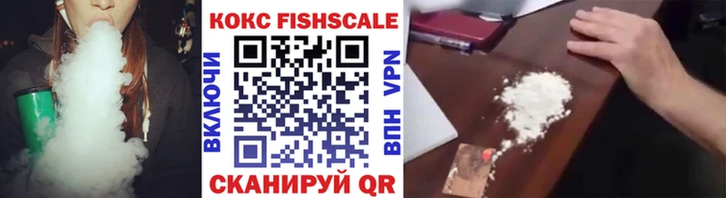 Cocaine FishScale  Купить  Котовск 