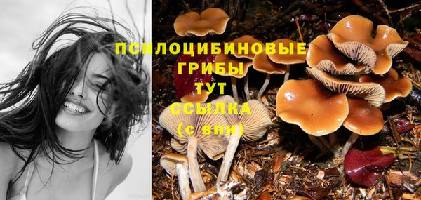 бошки Волоколамск