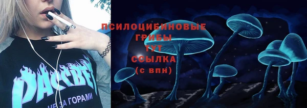 бошки Волоколамск